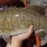 Bass Fishing in Wisconsin