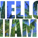 Recreational Fishing in Miami