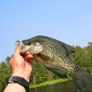 Fishing for Crappie Fish in West Virginia