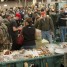 Pleasanton Fly Fishing Show – Fly Fishing Extravaganza
