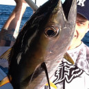 Top 7 Gold Coast Fishing Spots