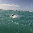 Great Tarpon Fishing Tips