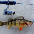 Ice Water Fishing Tackle and Equipment