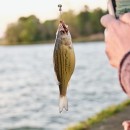 5 Awesome Tips for Improved Fishing