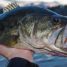 Southern Oaks Resort Spa & Cabins Grand Lake Oklahoma – A Perfect Place to Enjoy Grand Lake Fishing & Other Amazing Features