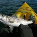 Top 4 Tips for an Amazing Kayak Fishing Experience