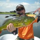 5 Important Factors to Consider while Buying the Best Spinning Reels