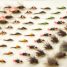 Selecting the Right Flies for Any Season