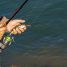 Fishing License – A Great Way to Protect Fisheries while Fishing