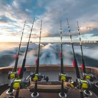 Choosing the Best Big Game Fishing Reels